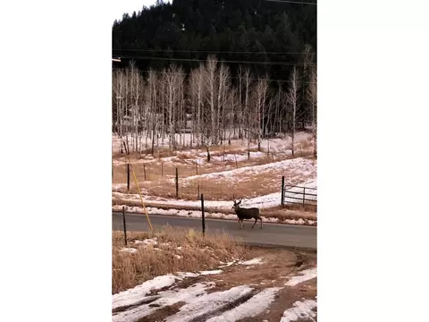 802 Burland Dr, Bailey, CO 80421 photo 35