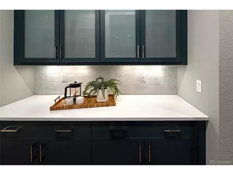 3439 Uinta St, Denver, CO 80238 photo 12