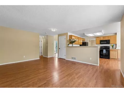 Living - 4645 E 135th Ave, Thornton, CO 80241 photo 6 of 9