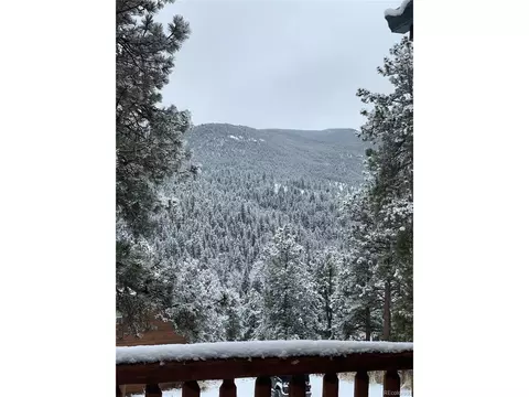Exterior - 305 Virginia Rd #B, Bailey, CO 80421 photo 8 of 12