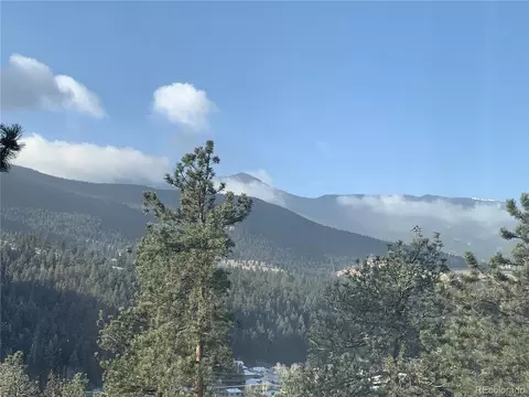 View/Area - 305 Virginia Rd #B, Bailey, CO 80421 photo 3 of 4