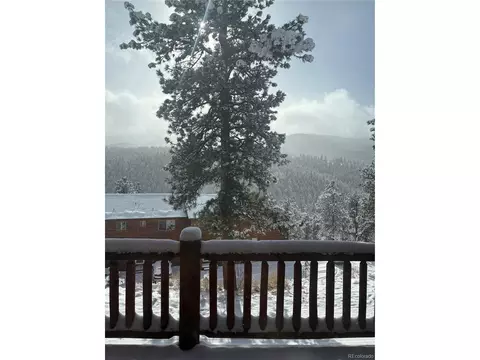 Exterior - 305 Virginia Rd #B, Bailey, CO 80421 photo 10 of 12