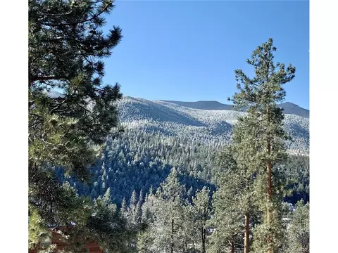 View/Area - 305 Virginia Rd #B, Bailey, CO 80421 photo 4 of 4