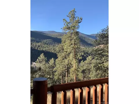 Exterior - 305 Virginia Rd #B, Bailey, CO 80421 photo 12 of 12