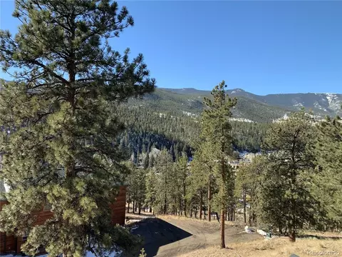 Other - 305 Virginia Rd #B, Bailey, CO 80421 photo 12 of 14