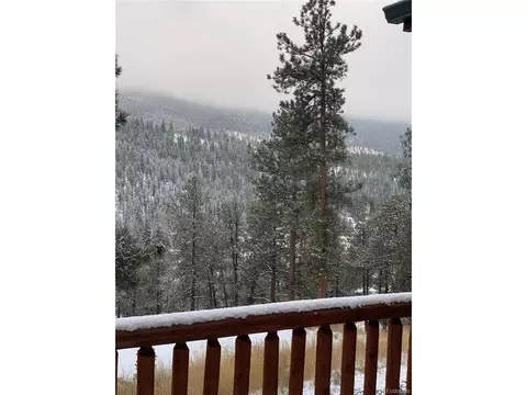 Exterior - 305 Virginia Rd #B, Bailey, CO 80421 photo 11 of 12