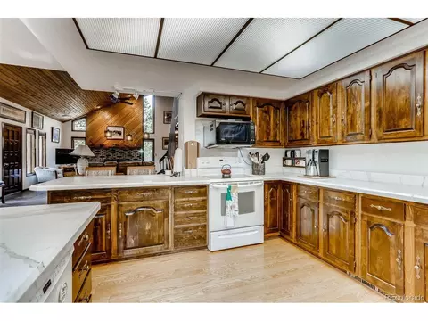 20345 Flint Ln, Morrison, CO 80465 photo 13