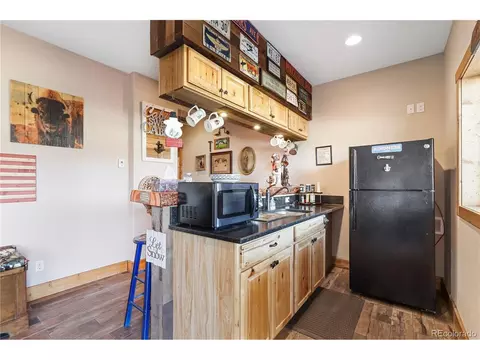 89 Schott Dr, Pine, CO 80470 photo 26