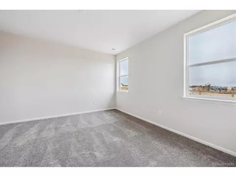 983 Rustling St, Windsor, CO 80550 photo 12