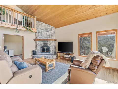 100 Mable Ln, Bailey, CO 80421 photo 7