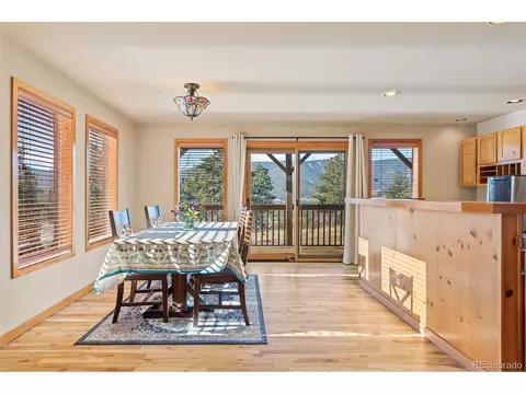 100 Mable Ln, Bailey, CO 80421 photo 9