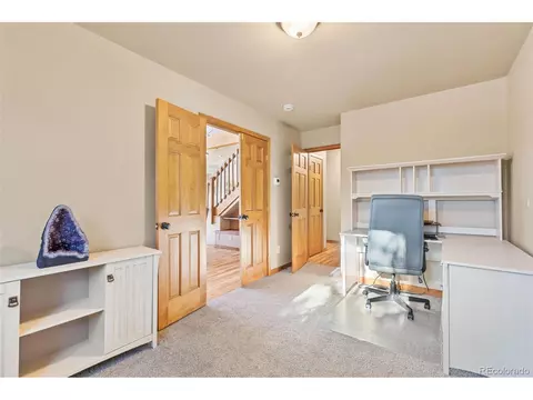 100 Mable Ln, Bailey, CO 80421 photo 10
