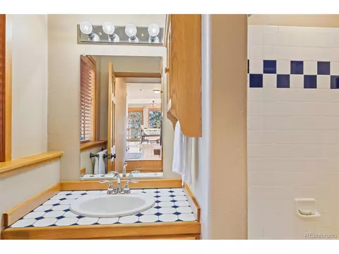 100 Mable Ln, Bailey, CO 80421 photo 11