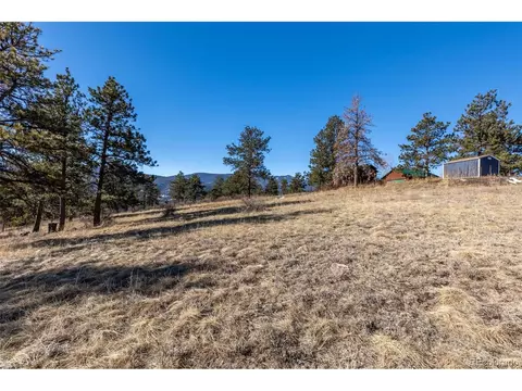 100 Mable Ln, Bailey, CO 80421 photo 17