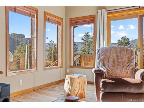 100 Mable Ln, Bailey, CO 80421 photo 8