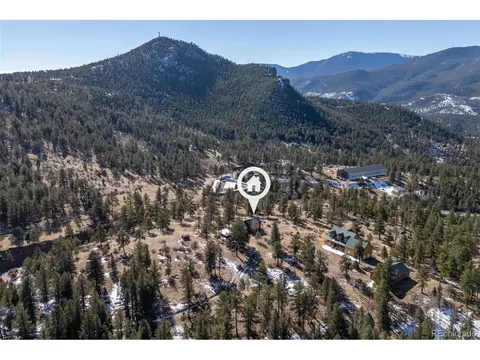 100 Mable Ln, Bailey, CO 80421 photo 20