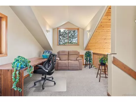 100 Mable Ln, Bailey, CO 80421 photo 13