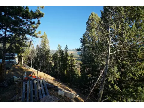 141 Wise Rd, Bailey, CO 80421 photo 6