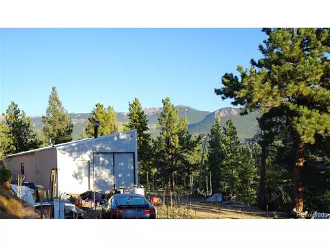 141 Wise Rd, Bailey, CO 80421 photo 2