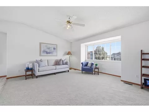 133 Rockaway, Castle Rock, CO 80104