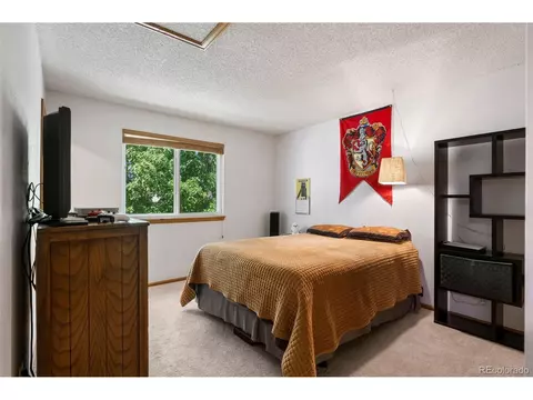 3801 S Uravan St, Aurora, CO 80013 photo 29