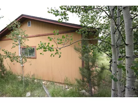 300 Bartimous Rd, Bailey, CO 80421 photo 20