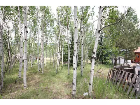 300 Bartimous Rd, Bailey, CO 80421 photo 13