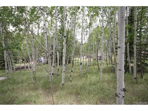 300 Bartimous Rd, Bailey, CO 80421 photo 9
