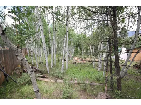 300 Bartimous Rd, Bailey, CO 80421 photo 16