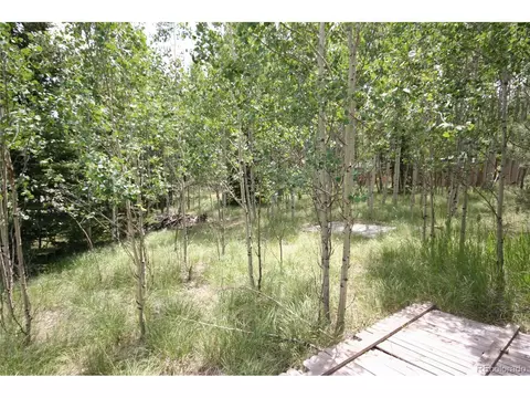 300 Bartimous Rd, Bailey, CO 80421 photo 5
