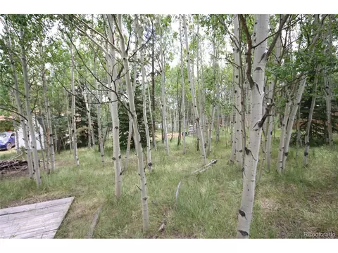 300 Bartimous Rd, Bailey, CO 80421 photo 8