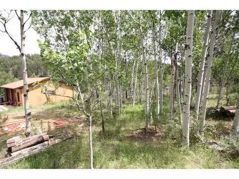 300 Bartimous Rd, Bailey, CO 80421 photo 15