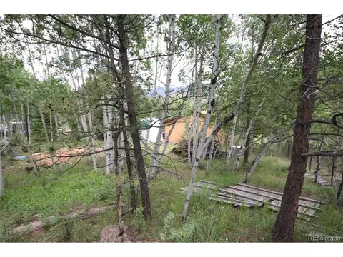 300 Bartimous Rd, Bailey, CO 80421 photo 17