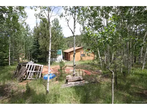 300 Bartimous Rd, Bailey, CO 80421 photo 14