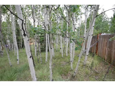 300 Bartimous Rd, Bailey, CO 80421 photo 11