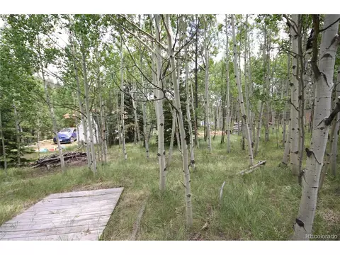 300 Bartimous Rd, Bailey, CO 80421 photo 7