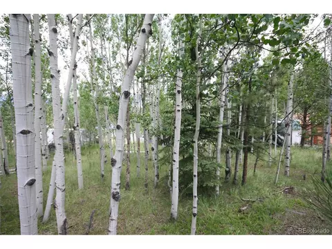 300 Bartimous Rd, Bailey, CO 80421 photo 12