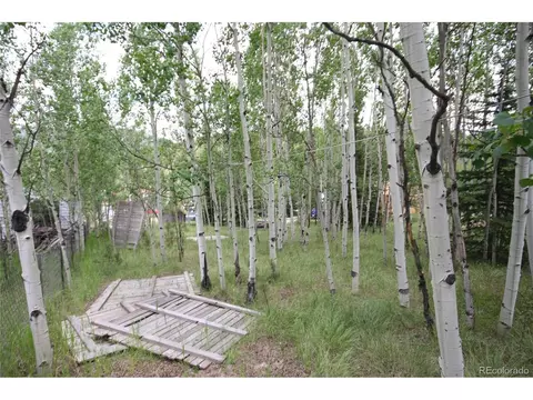 300 Bartimous Rd, Bailey, CO 80421 photo 10