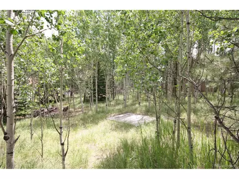300 Bartimous Rd, Bailey, CO 80421 photo 6