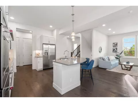 10295 E 59th Ave, Denver, CO 80238 photo 8
