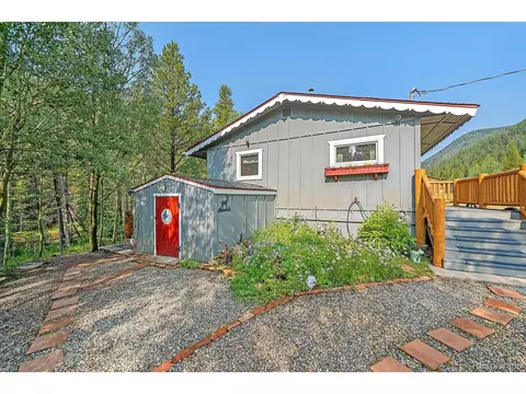 3938 County Road 60, Grant, CO 80448 photo 39