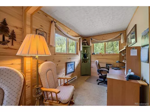 3938 County Road 60, Grant, CO 80448 photo 27