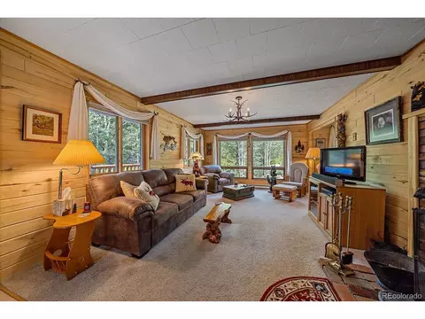 3938 County Road 60, Grant, CO 80448 photo 15