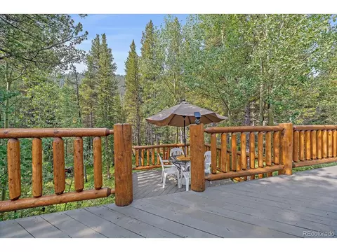 3938 County Road 60, Grant, CO 80448 photo 34