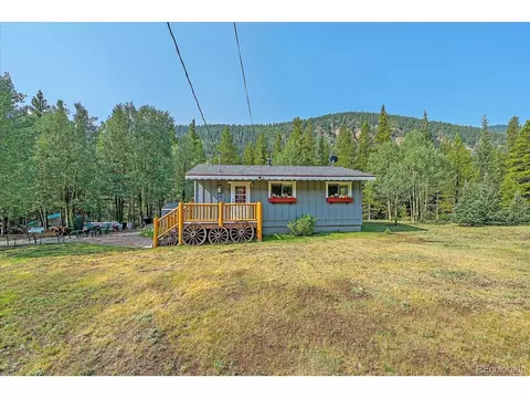 3938 County Road 60, Grant, CO 80448 photo 12