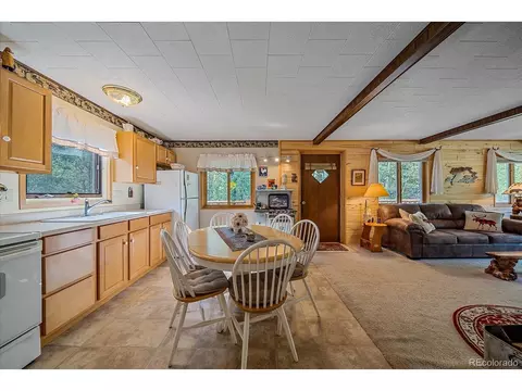 3938 County Road 60, Grant, CO 80448 photo 16