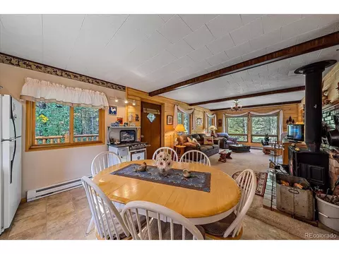 3938 County Road 60, Grant, CO 80448 photo 20