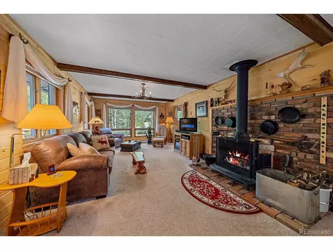 3938 County Road 60, Grant, CO 80448 photo 14
