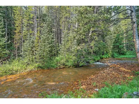 3938 County Road 60, Grant, CO 80448 photo 48