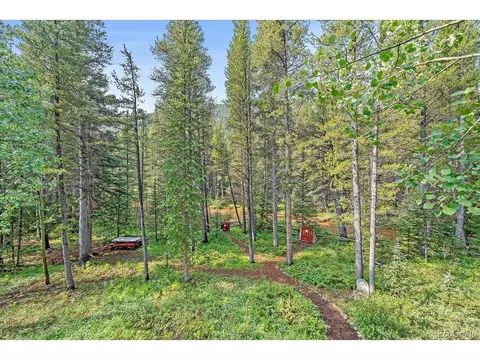 3938 County Road 60, Grant, CO 80448 photo 36